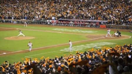 Unlocking the Joy of Baseball: A Guide to Attending and Watching Games