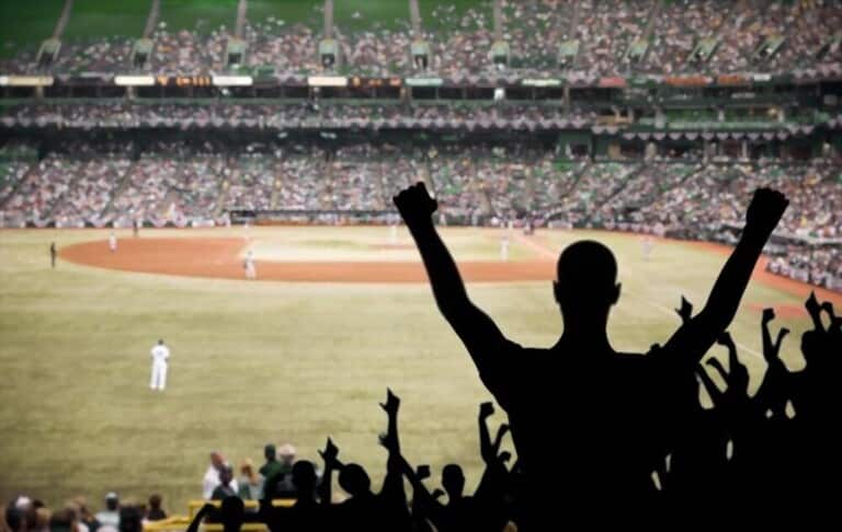 fans excited in the atmosphere of the baseball game